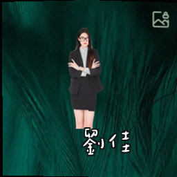 刘佳